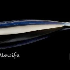 Lunker City Fin-S Fish