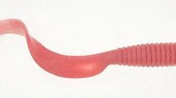 Berkley Fishing Soft Plastic Lures Berkley Gulp! Saltwater Grubs 4"