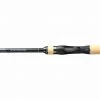 Shimano Fishing Shimano Expride B Casting Rods