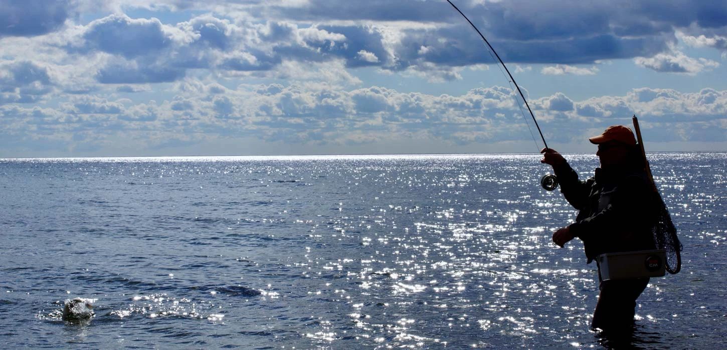 The Saltwater Edge Sales Shop -The Saltwater Edge Sales Shop Fiskeri © Havorred Fyn