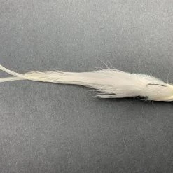 Guide Flies Brown's Gurgler Fly Albie And Bonito Flies