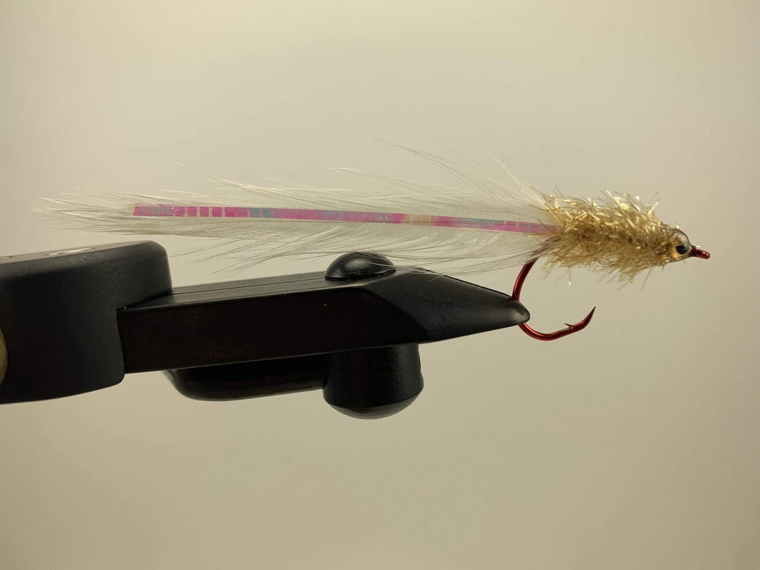 Guide Flies Steve Cook's Poor Man's Albie Whore 4 Guide Flies Steve Cook's Poor Man's Albie Whore