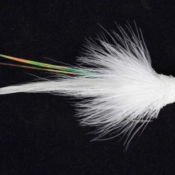 LI Flies Snake Fly Flatwing