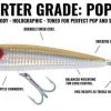 Hogy Lures Hogy Charter Grade Popper Top Lure Brands