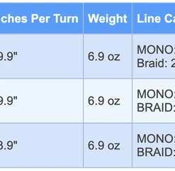 Daiwa Coastal TWS Casting Reel