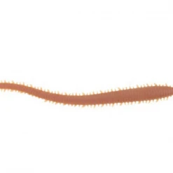 Berkley Fishing Berkley Gulp Saltwater Sandworms Soft Plastic Lures