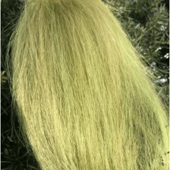 Squimpish Flies Fly Tying Squimpish Hair