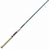 St Croix Rods St. Croix Triumph Inshore Spinning Rods
