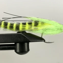 Catching Shadows Flies Strolis Silly Rabbit Fly