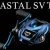 Daiwa Coastal TWS Casting Reel