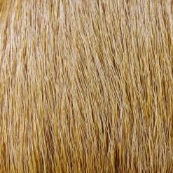 Hareline Dubbin Fly Tying Deer Belly Hair Dyed Over White 11 Hareline Dubbin Fly Tying Deer Belly Hair Dyed Over White