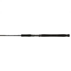 Shimano Fishing Shimano Teramar NE Casting Rods (2021)
