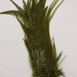 Wapsi Ewing Grizzly Half Saddles Fly Tying