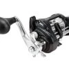 Shimano Fishing Shimano Tekota A Levelwind Line Counter Conventional Reels