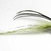 Guide Flies Striper Flies Rhody Flatwings 2 Guide Flies Striper Flies Rhody Flatwings