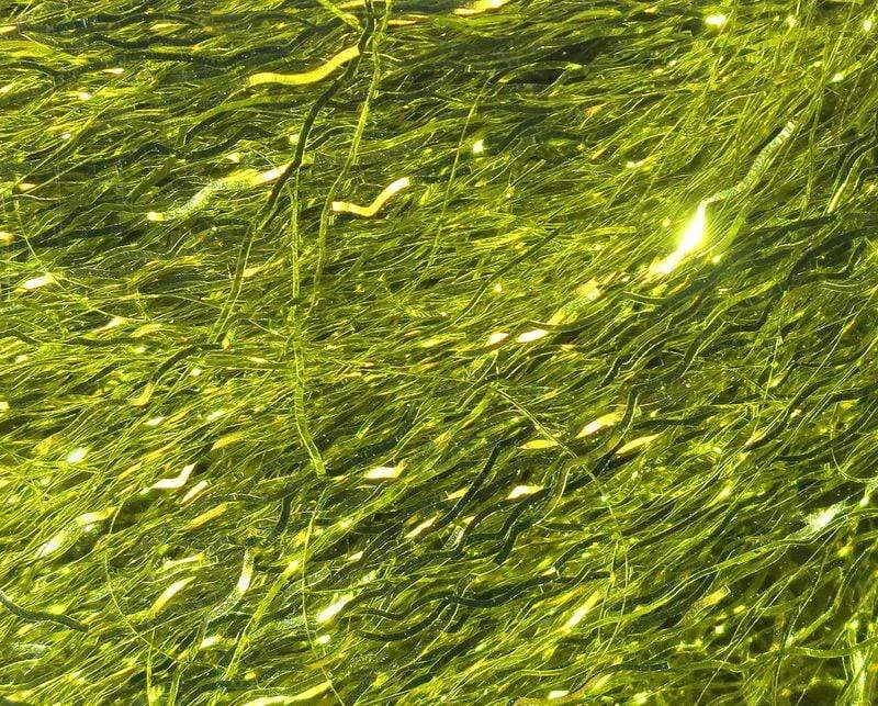 Hareline Dubbin Ripple Ice Fiber 9 Hareline Dubbin Ripple Ice Fiber